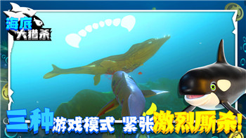 中土世界战争之影攻略打不开了怎么回事？可能原因及解决方法全解析