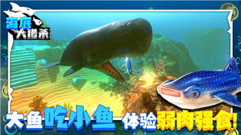 碧蓝幻想崛起中文设置在哪里？详细解答让你畅享中文体验