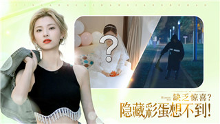 符文工厂5中紫色变色龙BOSS的偏好与攻略技巧！